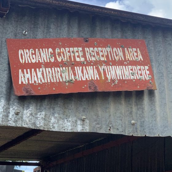organic coffee process